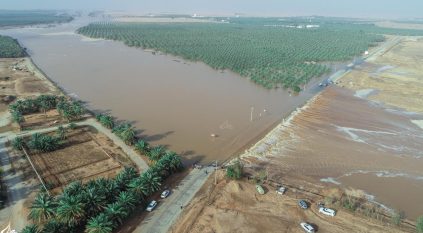 الموسم المطري في السعودية يجمع 4 مزايا نادرة