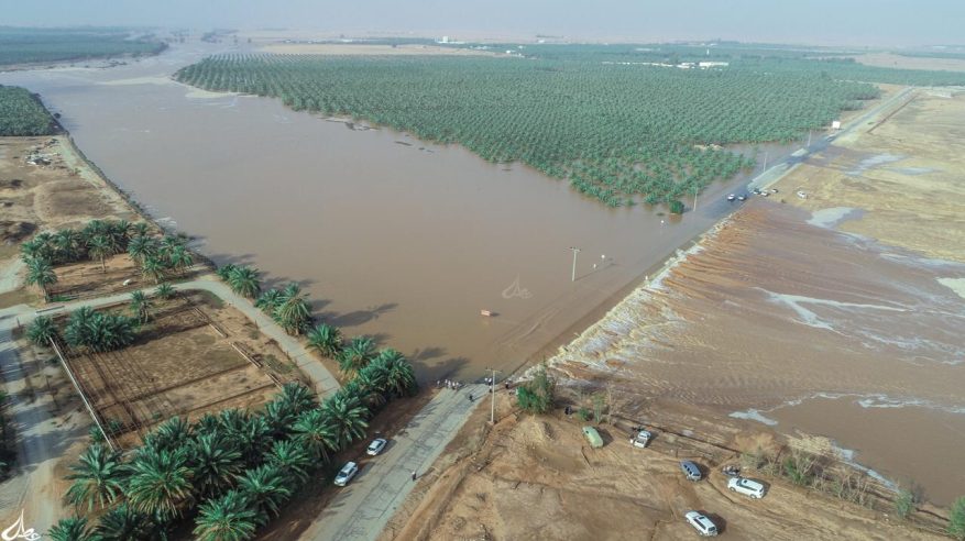 الموسم المطري في السعودية يجمع 4 مزايا نادرة