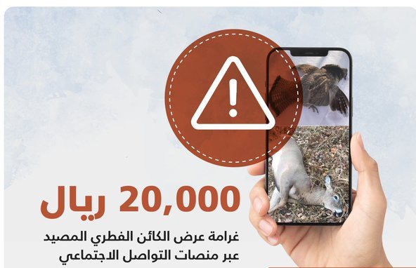 20 ألف ريال غرامة عرض الكائنات الفطرية