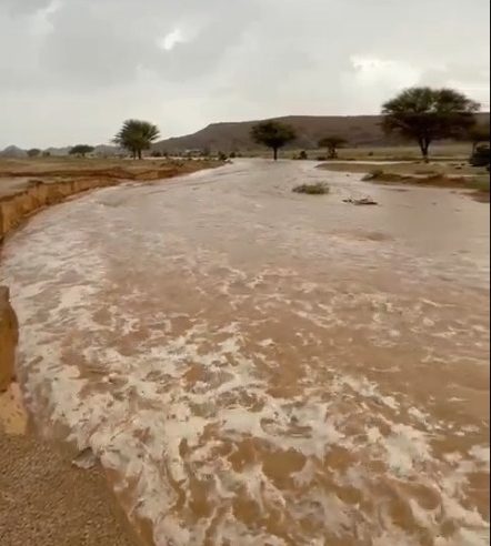 لقطات لجريان سيول الشفاء جنوب الرين