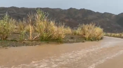 لقطات لجريان وتدفق السيول شمال غرب محايل عسير