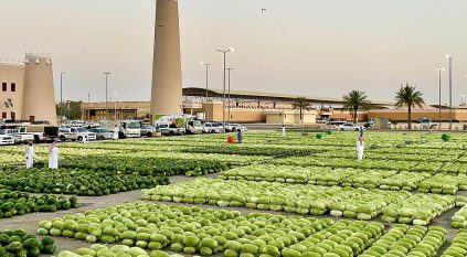 البيئة: إنتاج البطيخ المحلي 624 ألف طن ونسبة الاكتفاء الذاتي 99%