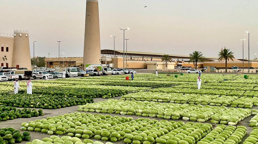البيئة: إنتاج البطيخ المحلي 624 ألف طن ونسبة الاكتفاء الذاتي 99%