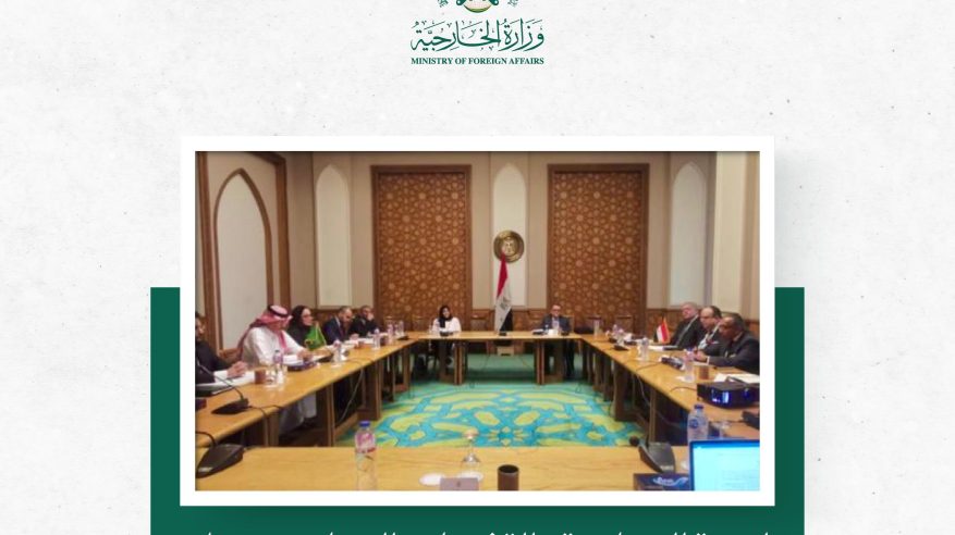 السعودية ومصر يبحثان تعزيز العلاقات التاريخية والإستراتيجية
