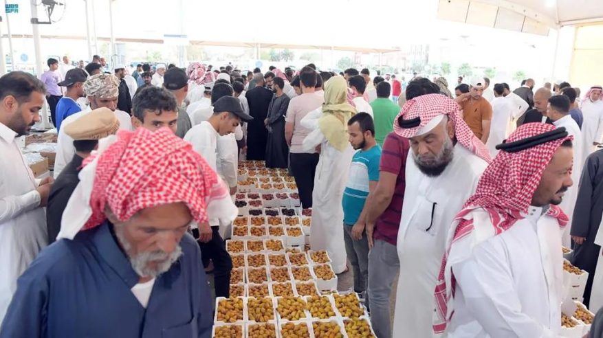 انتعاش موسم الرطب والتمور بالمدينة المنورة