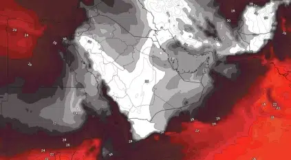 كتلة هوائية حارة تؤثر على شمال السعودية نهاية الأسبوع