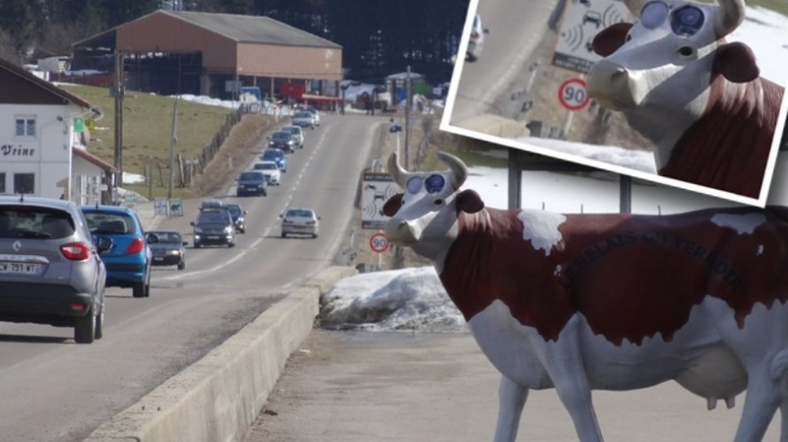 حقيقة البقرة الرادار في سويسرا لضبط سرعة السيارات