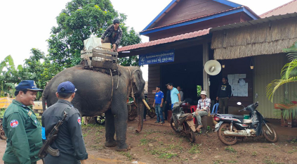 الاستعانة بالفيلة لإجراء الانتخابات في كمبوديا