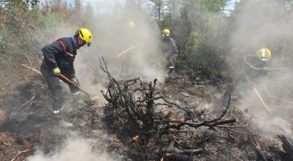 لقطات مروعة وأرقام غير مسبوقة لحرائق الغابات في كندا