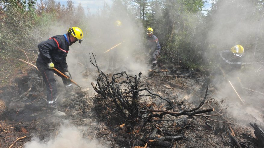 لقطات مروعة وأرقام غير مسبوقة لحرائق الغابات في كندا