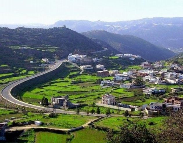 مزارع الباحة تتحول إلى مزار سياحي جذاب
