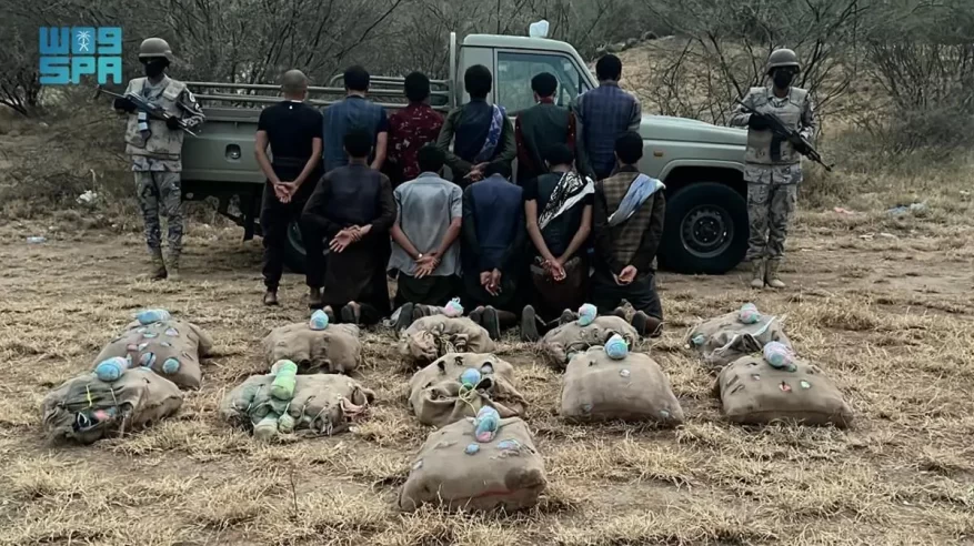 إحباط تهريب 49.2 طن قات و437.7 كجم من الحشيش بـ 4 مناطق