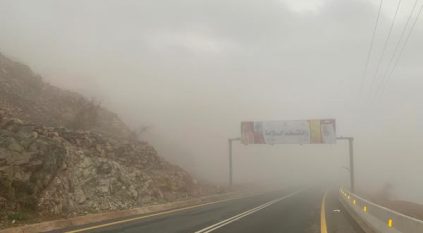 توقعات بضباب خفيف على بدر وينبع فجر الغد