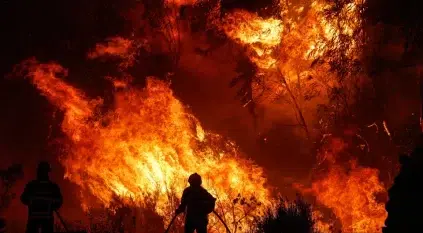 أكثر من 1000 مفقود بسبب حرائق غابات ماوي