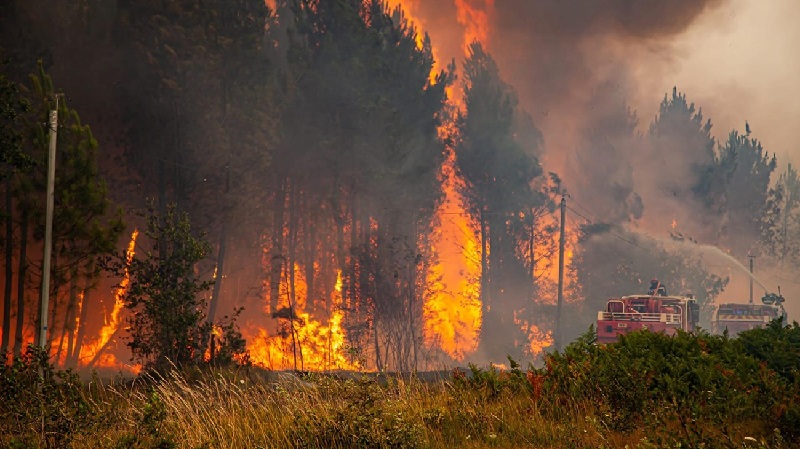 إجلاء الآلاف من إسبانيا بسبب حرائق الغابات