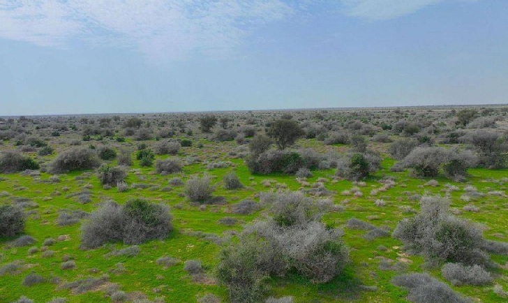 مواطن يوثق جولته بمحمية الملك عبدالعزيز