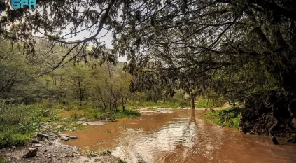 مشاهد لهطول الأمطار وجريان السيول بالباحة