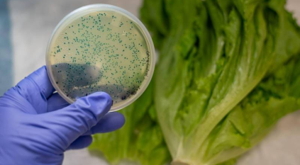 أفضل طريقة لقتل البكتيريا في الخضروات