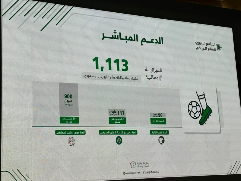 الدعم المباشر لأندية دوري روشن