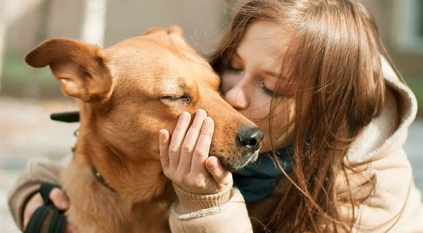 9 أعراض تصيب الإنسان عند تقبيل الحيوانات الأليفة