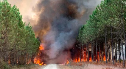 مسيرات يونانية لمكافحة حرائق الغابات الأكبر بأوروبا