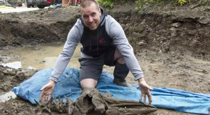 عظام دولفين عمرها 8000 عام في أسكتلندا