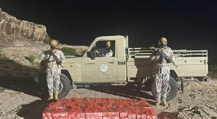 إحباط تهريب 39 طنًا من القات و837 كجم حشيش بـ4 مناطق