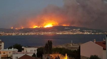 حرائق مروعة تشتعل مجددًا في الجزائر