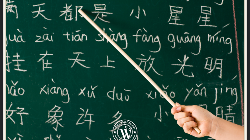 شغف الطلاب خلال تعليمهم اللغة الصينية بإحدى مدارس الطائف