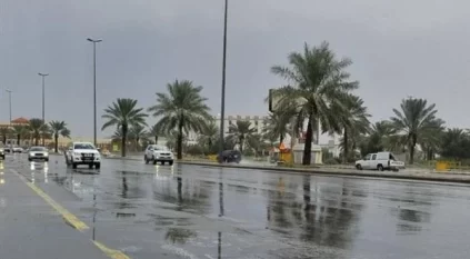 توقعات طقس اليوم: أمطار رعدية وضباب على 10 مناطق