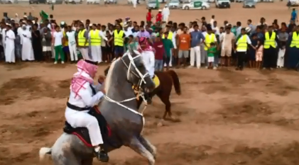 استعراض بالخيول في جازان احتفالًا باليوم الوطني