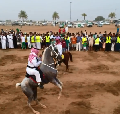 استعراض بالخيول في جازان احتفالًا باليوم الوطني