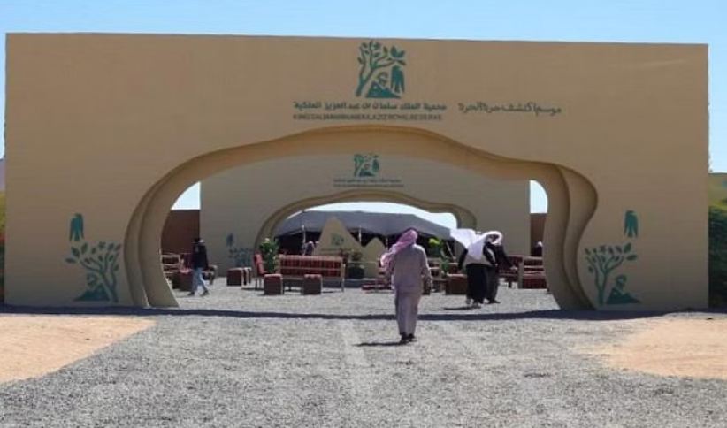 ضبط مواطن رعي 40 متنًا من الإبل بمواقع محظورة في محمية الملك عبدالعزيز