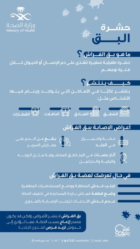 بق الفراش
