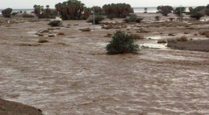 أمطار غزيرة في المدينة وسيول غرب تبوك