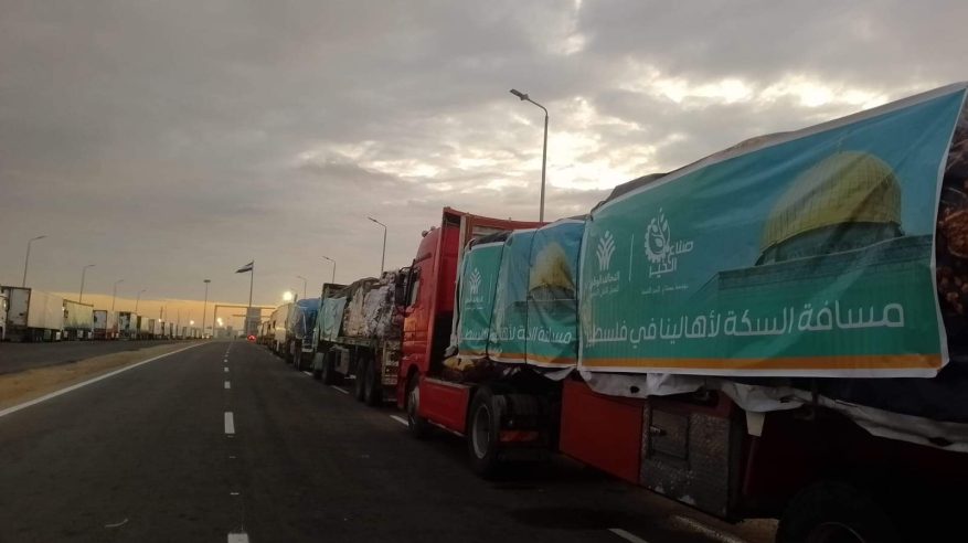 59 شاحنة تدخل من معبر رفح اليوم