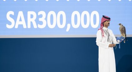 بيع شاهين فرخ بـ 300 ألف ريال في مزاد نادي الصقور السعودي