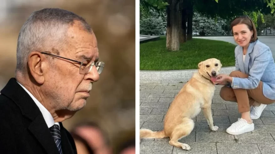 كلب رئيسة مولدوفا ينقضّ على رئيس النمسا ويعضه