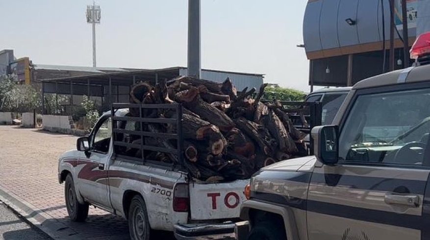 سودانيان يواجهان غرامة 48 ألف ريال لنقلهما الحطب المحلي في عسير