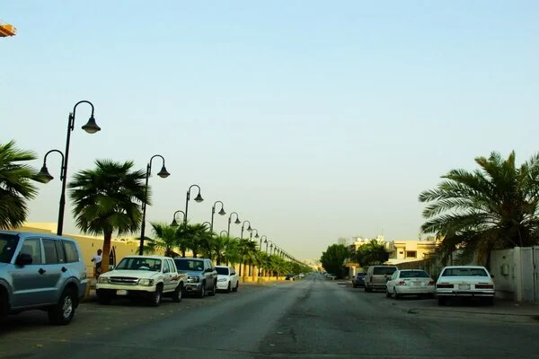 امتزجت روائح المطاعم لتمحي جمال تفاصيل شارع ثلاثين السليمانية القديم