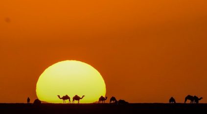 لقطات مذهلة لغروب الشمس في صحراء الحدود الشمالية