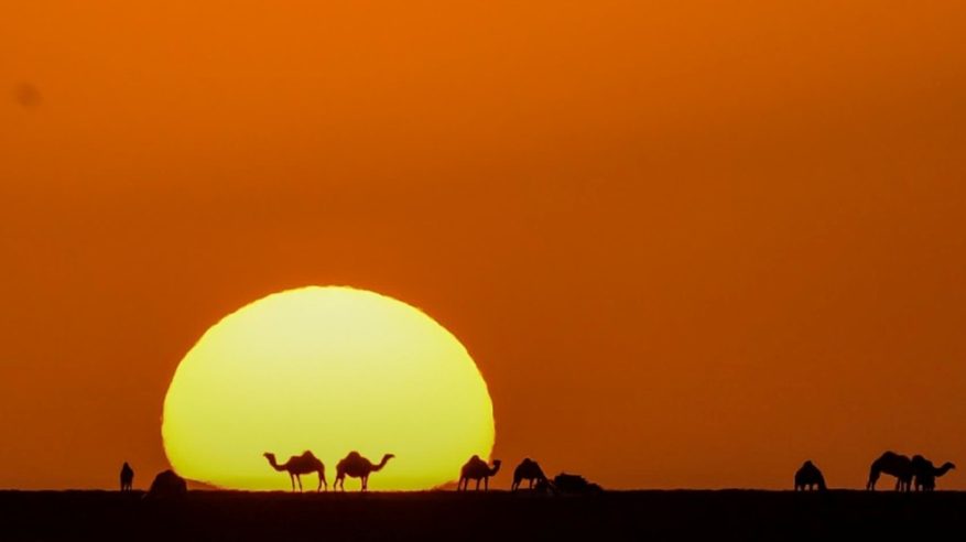 لقطات مذهلة لغروب الشمس في صحراء الحدود الشمالية