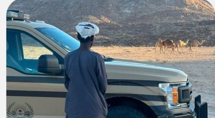 ضبط سوداني رعى الإبل في محمية الأمير محمد بن سلمان الملكية