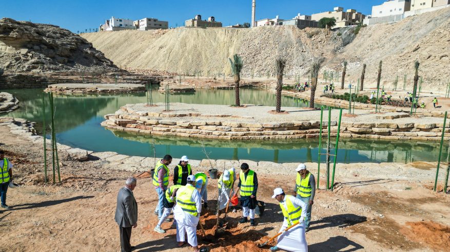 مشروع الرياض الخضراء يشجر شعيب غذوانة