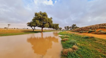 خصائص المربعانية الجوية لم تظهر في معظم المناطق