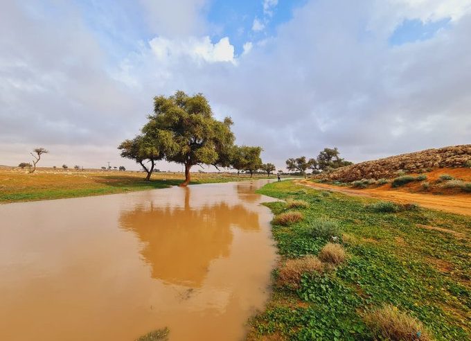 خصائص المربعانية الجوية لم تظهر في معظم المناطق