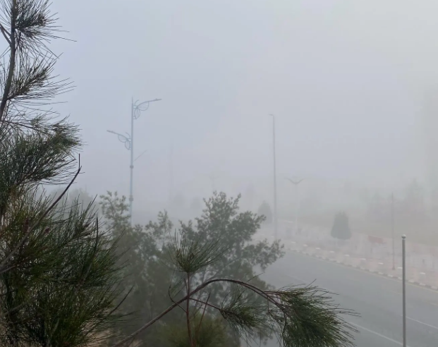 ضباب وانعدام في مدى الرؤية في منطقة حائل