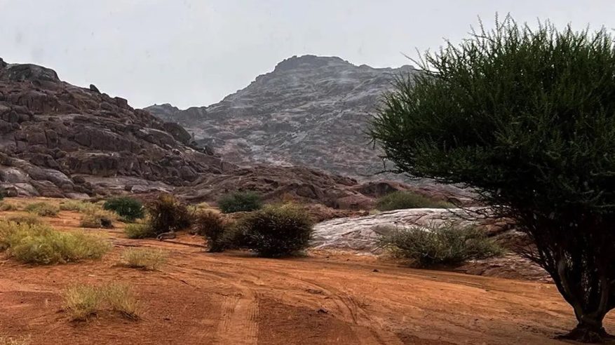 الأمطار ترسم صورة جمالية على أودية ورمال وجبال القصيم