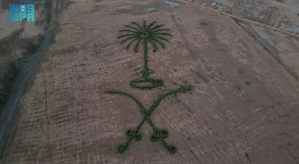 مواطن يرسم شعار السعودية بالنباتات البرية برفحاء