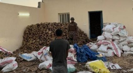 ضبط مقيم يمني لتخزينه 106 أمتار مكعبة من الحطب المحلي